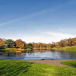 A large lake in a park surrounded by trees and lush green grass