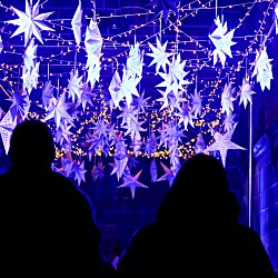 Two people looking at a light display of stars hanging from a ceiling all lit up in blue light.