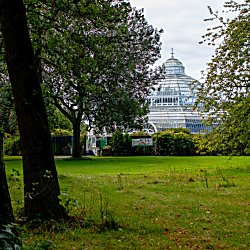 Sefton Park and the Palm House