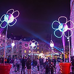 Colourful pink lighting projected onto walls with large light artworks in the shape of flowers in pots dotted around.