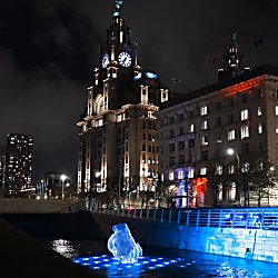 An artwork of a hand that looks like it is floating on water with lights around it.