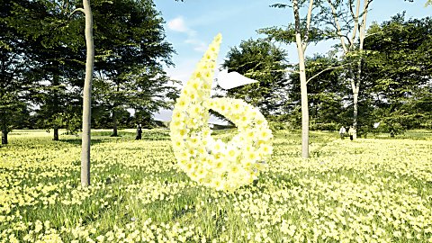 The shape of a six in daffodils in a field filled with more daffodils
