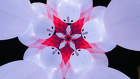 A photo of an art installation taken from the floor looking up. It is of five giant inflatable characters all leaning into each other.