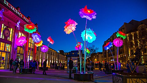A light installation of groups of light that look like flowers in a street with buildings either side.