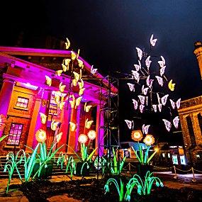 Colourful flowers and butterflies made out of fabric laterns are outside the Martin Luther King Jr building which is bathed in pink light