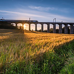 A superfast train going over a bridge with wild flowers and grass fields beneath