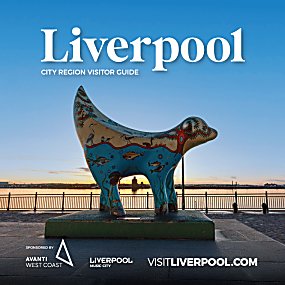 An image of the Superlambanana with the sun setting in the distance.