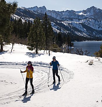 Bridgeport Winter Trail cross-country skiing 16x9 header