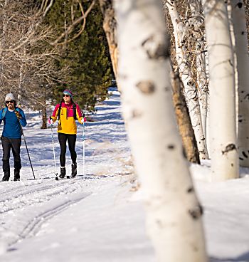 Bridgeport winter cross country skiing trail 16x9 header