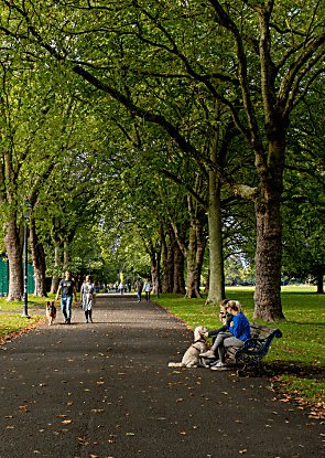 People sitting on benches surrounded by trees on a large walkway
