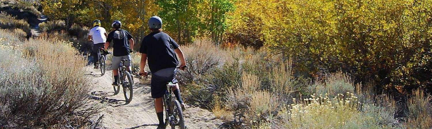 Bridgeport mountain bike 2025 trails