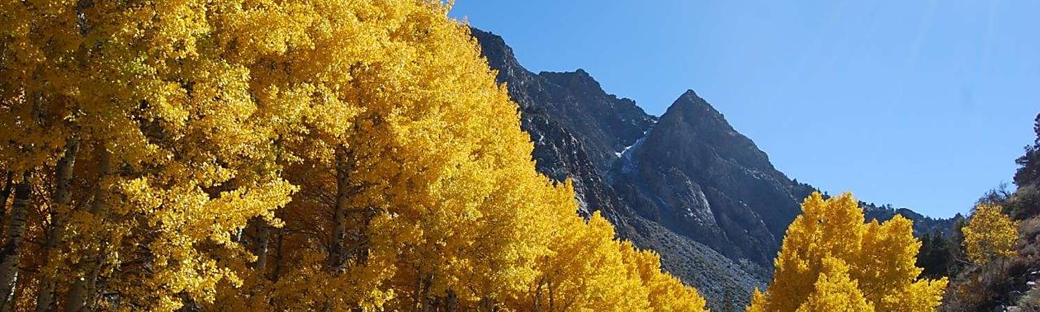 June Lake