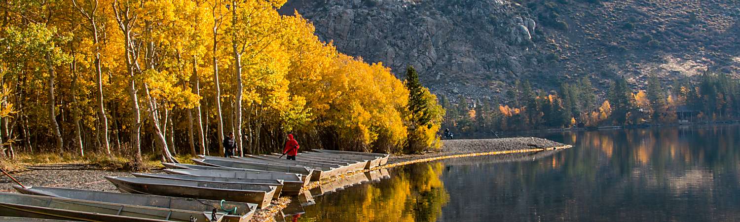 スノーボード towsey スノーボード towsey Spark Speed-Tie