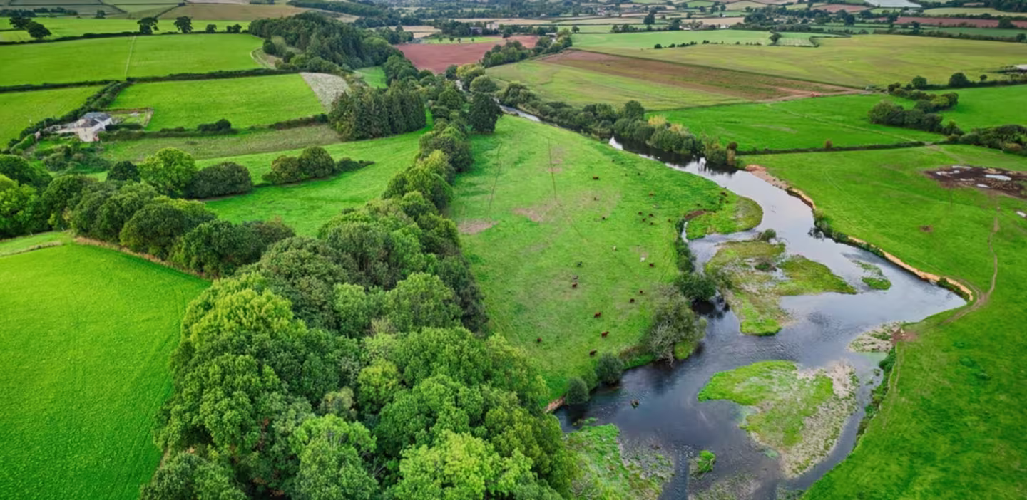 River Exe - UK river flowing through England