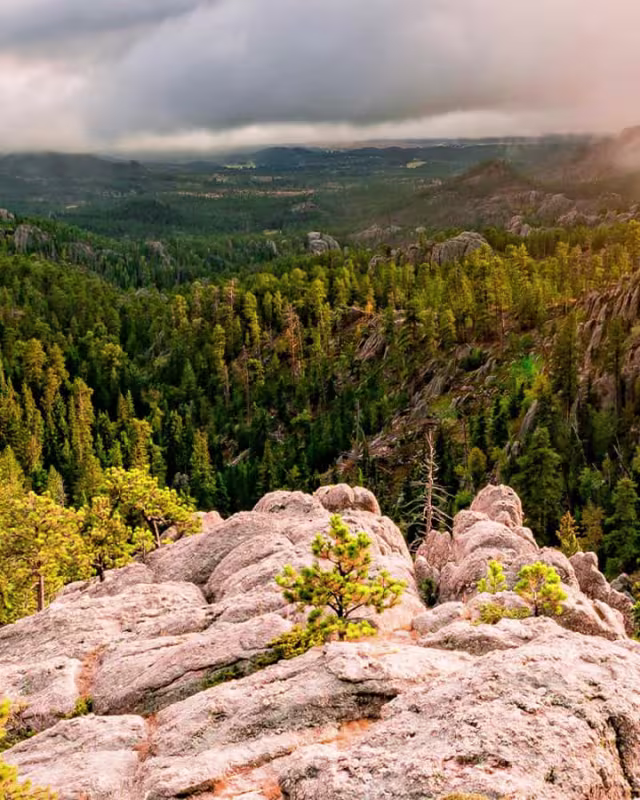Black_Hills_National_Forest_Header_1_2800x900_ffcb0ceb-c202-4229-a32d-1eef7af3d9be.jpg