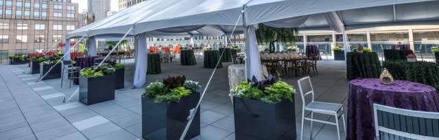 Rooftop Terrace (11,200 sq. ft) - Level 2