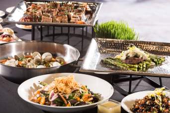 Food and Beverage
