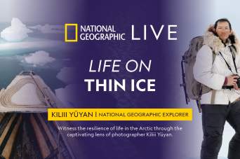 Thin Ice