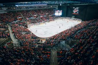 Suites