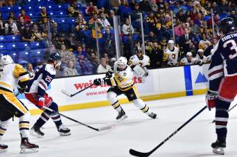 Pens Action Shot