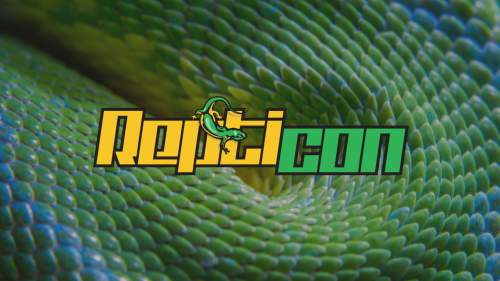 Repticon Charlotte