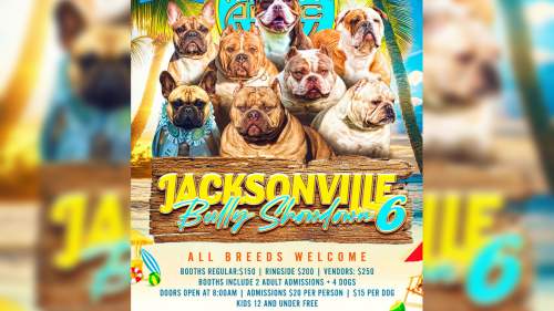 ABKC Jacksonville Bully Showdown 6