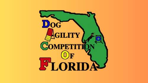 Dog Agility Competition of Florida