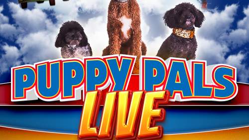 Puppy Pals