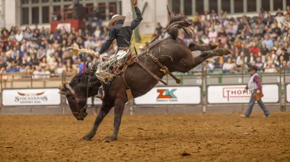 Rodeo Shot with Crowd