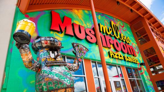 49496611838_2018640391_o