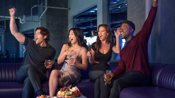 Fans cheering in a premium hospitality suite