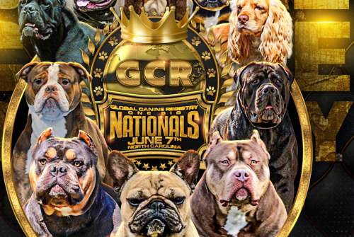 Global Canine Registry 2025 Nationals