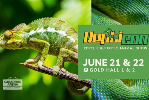 Repticon Charlotte