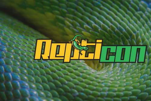 Repticon Charlotte