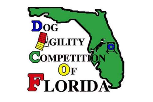 Dog Agility Competition Of Florida