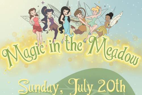 Magic in the Meadow Market