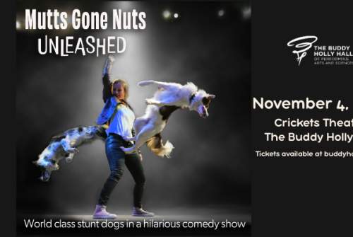 Mutts Gone Nuts: Unleashed