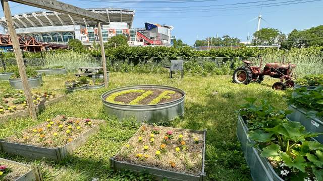 The Real Farmville