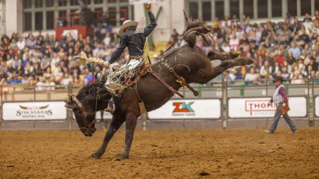 Rodeo Shot with Crowd