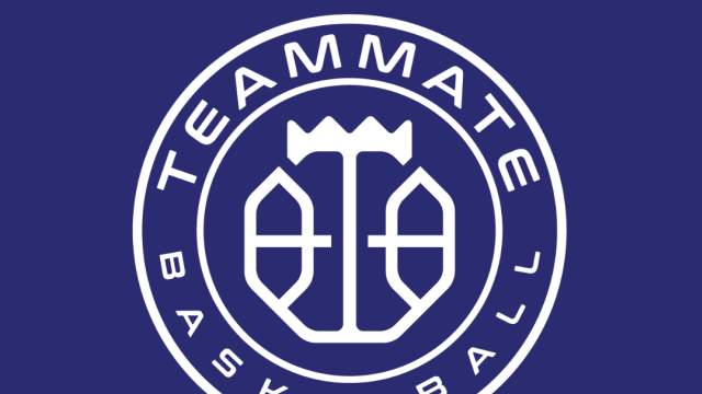 Teammate Basketball Logo
