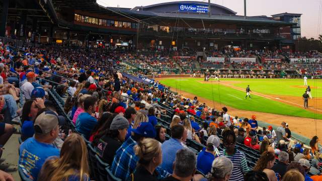 Ball Park and Crowd