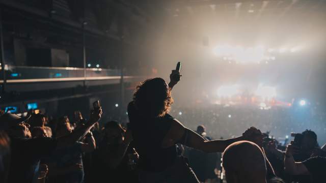 Concert Crowd