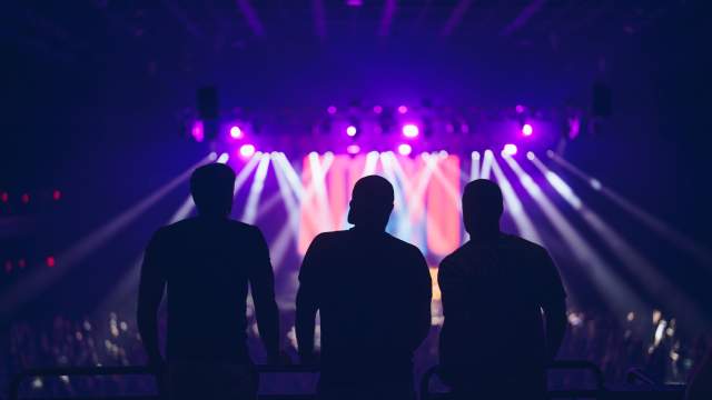 Concert Attendees