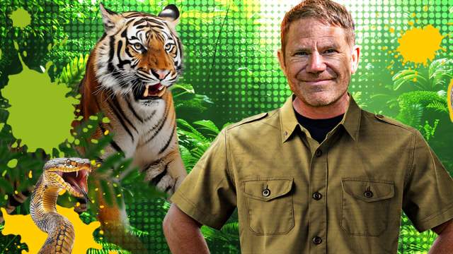 Steve Backshall