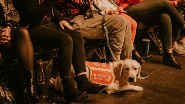 Service Dog