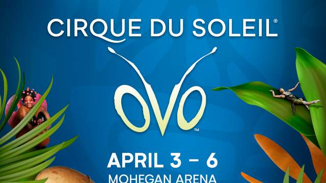 Cirque du Soleil oVo event graphic
