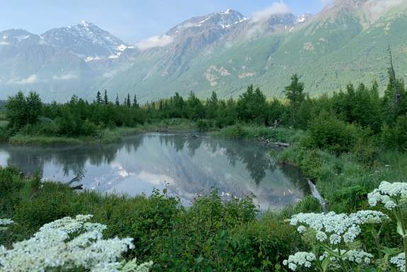 Anchorage Stock