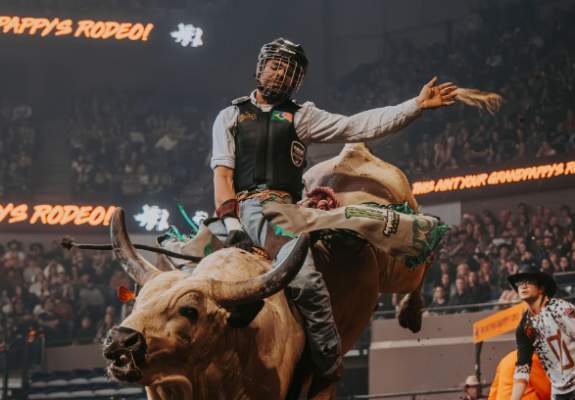 BBB Bull