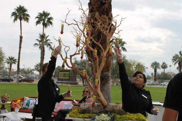 Outdoor Lollipop Tree