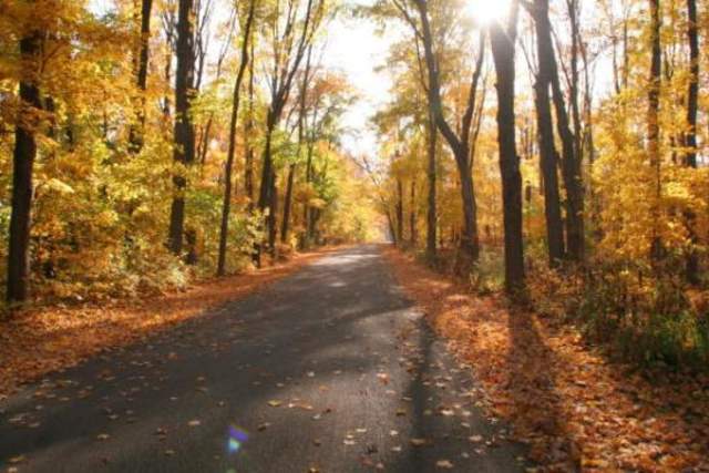 Forest Preserves of Winnebago County
